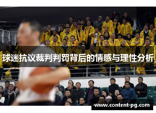 球迷抗议裁判判罚背后的情感与理性分析