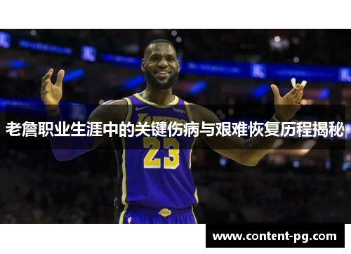 老詹职业生涯中的关键伤病与艰难恢复历程揭秘