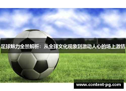足球魅力全景解析：从全球文化现象到激动人心的场上激情