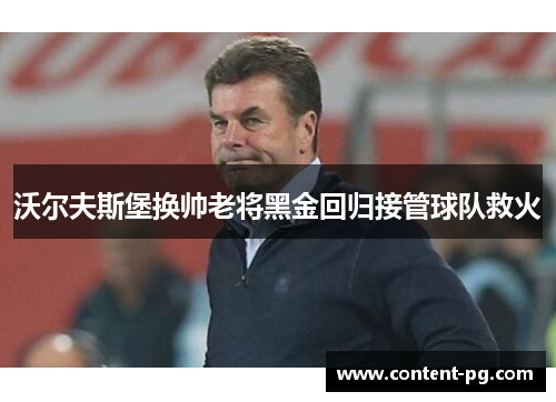 沃尔夫斯堡换帅老将黑金回归接管球队救火