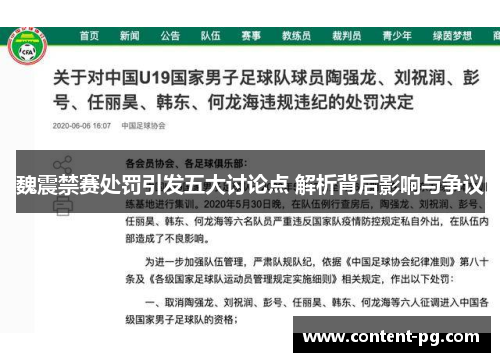 魏震禁赛处罚引发五大讨论点 解析背后影响与争议