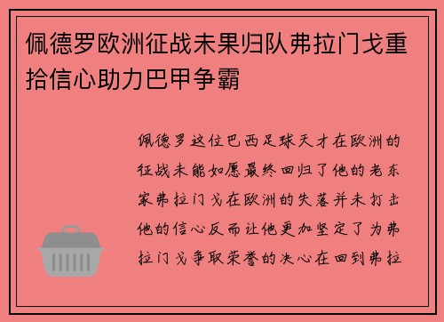 佩德罗欧洲征战未果归队弗拉门戈重拾信心助力巴甲争霸