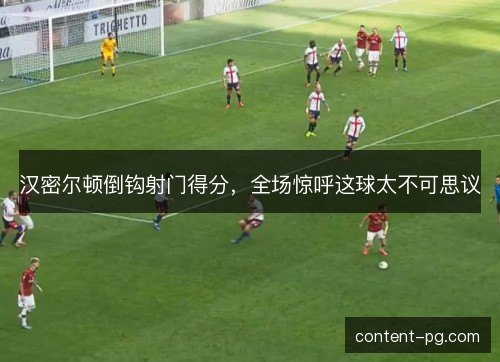 汉密尔顿倒钩射门得分，全场惊呼这球太不可思议